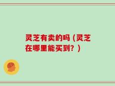 灵芝有卖的吗 (灵芝在哪里能买到？)