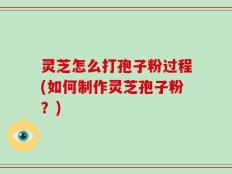 灵芝怎么打孢子粉过程(如何制作灵芝孢子粉？)