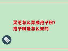 灵芝怎么弄成孢子粉？孢子粉是怎么来的