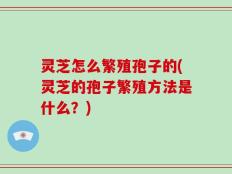 灵芝怎么繁殖孢子的(灵芝的孢子繁殖方法是什么？)