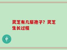 灵芝有几层孢子？灵芝生长过程