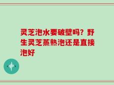 灵芝泡水要破壁吗？野生灵芝蒸熟泡还是直接泡好