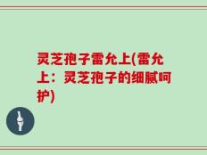 灵芝孢子雷允上(雷允上：灵芝孢子的细腻呵护)