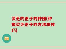 灵芝的孢子的种植(种植灵芝孢子的方法和技巧)