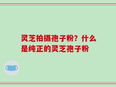 灵芝拍摄孢子粉？什么是纯正的灵芝孢子粉