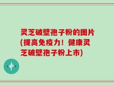 灵芝破壁孢子粉的图片(提高免疫力！健康灵芝破壁孢子粉上市)