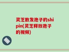 灵芝散发孢子的shipin(灵芝释放孢子的视频)