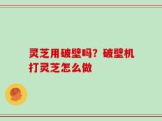 灵芝用破壁吗？破壁机打灵芝怎么做