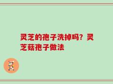 灵芝的孢子洗掉吗？灵芝菇孢子做法