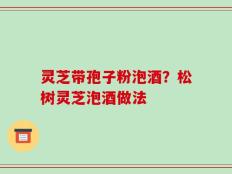 灵芝带孢子粉泡酒？松树灵芝泡酒做法