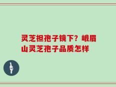 灵芝担孢子镜下？峨眉山灵芝孢子品质怎样