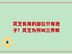 灵芝有用的部位只有孢子？灵芝为何叫三秀呢