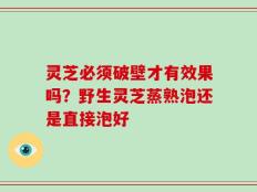 灵芝必须破壁才有效果吗？野生灵芝蒸熟泡还是直接泡好
