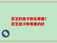 灵芝的孢子粉在哪里？灵芝孢子粉哪里的好