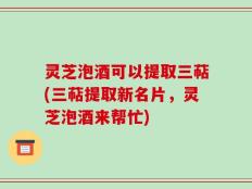 灵芝泡酒可以提取三萜(三萜提取新名片，灵芝泡酒来帮忙)