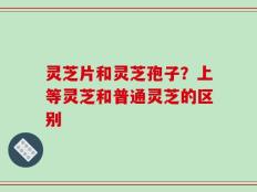 灵芝片和灵芝孢子？上等灵芝和普通灵芝的区别