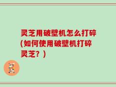 灵芝用破壁机怎么打碎(如何使用破壁机打碎灵芝？)