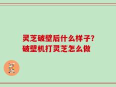 灵芝破壁后什么样子？破壁机打灵芝怎么做