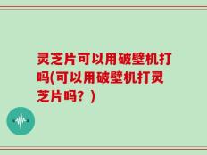 灵芝片可以用破壁机打吗(可以用破壁机打灵芝片吗？)