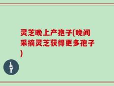 灵芝晚上产孢子(晚间采摘灵芝获得更多孢子)