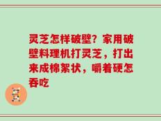 灵芝怎样破壁？家用破壁料理机打灵芝，打出来成棉絮状，嚼着硬怎吞吃