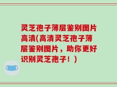 灵芝孢子薄层鉴别图片高清(高清灵芝孢子薄层鉴别图片，助你更好识别灵芝孢子！)