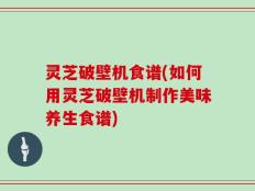 灵芝破壁机食谱(如何用灵芝破壁机制作美味养生食谱)