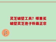 灵芝破壁工具？哪里买破壁灵芝孢子粉最正宗