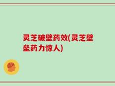 灵芝破壁药效(灵芝壁垒药力惊人)