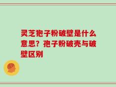 灵芝狍子粉破壁是什么意思？孢子粉破壳与破壁区别