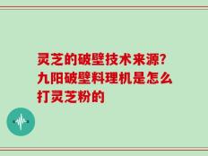 灵芝的破壁技术来源？九阳破壁料理机是怎么打灵芝粉的