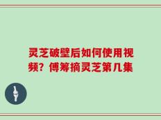 灵芝破壁后如何使用视频？傅筹摘灵芝第几集