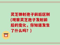 灵芝弹射孢子前后区别(观察灵芝孢子发射前后的变化，你知道发生了什么吗？)