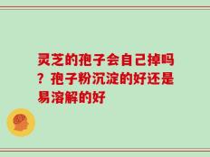 灵芝的孢子会自己掉吗？孢子粉沉淀的好还是易溶解的好