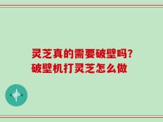 灵芝真的需要破壁吗？破壁机打灵芝怎么做