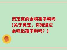 灵芝真的会喷孢子粉吗(关于灵芝，你知道它会喷出孢子粉吗？)