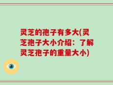 灵芝的孢子有多大(灵芝孢子大小介绍：了解灵芝孢子的重量大小)