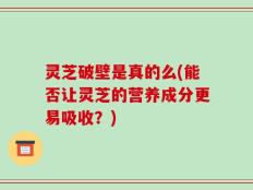 灵芝破壁是真的么(能否让灵芝的营养成分更易吸收？)