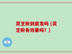 灵芝粉到底发吗 (灵芝粉有效果吗？)