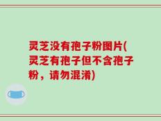 灵芝没有孢子粉图片(灵芝有孢子但不含孢子粉，请勿混淆)