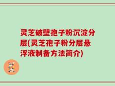 灵芝破壁孢子粉沉淀分层(灵芝孢子粉分层悬浮液制备方法简介)