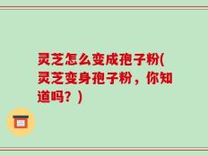 灵芝怎么变成孢子粉(灵芝变身孢子粉，你知道吗？)