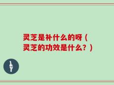 灵芝是补什么的呀 (灵芝的功效是什么？)
