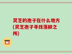 灵芝的孢子在什么地方(灵芝孢子寻找落脚之所)