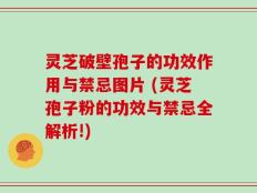 灵芝破壁孢子的功效作用与禁忌图片 (灵芝孢子粉的功效与禁忌全解析!)