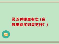 灵芝种哪里有卖 (在哪里能买到灵芝种？)