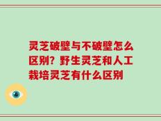 灵芝破壁与不破壁怎么区别？野生灵芝和人工栽培灵芝有什么区别
