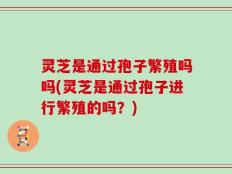 灵芝是通过孢子繁殖吗吗(灵芝是通过孢子进行繁殖的吗？)