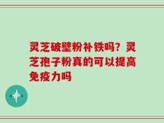 灵芝破壁粉补铁吗？灵芝孢子粉真的可以提高免疫力吗