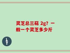 灵芝总三萜 2g？一般一个灵芝多少斤